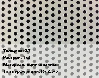 Лист перфорированный 0.7 1х2 оцинкованный Rv 2.5-5